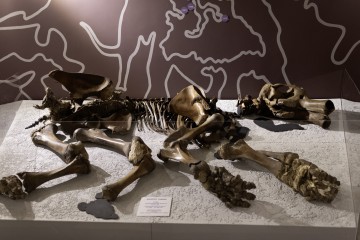 Симфония Ямала