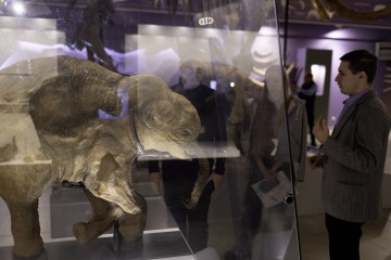 Симфония Ямала