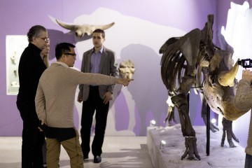 Симфония Ямала