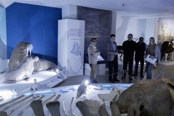 Симфония Ямала